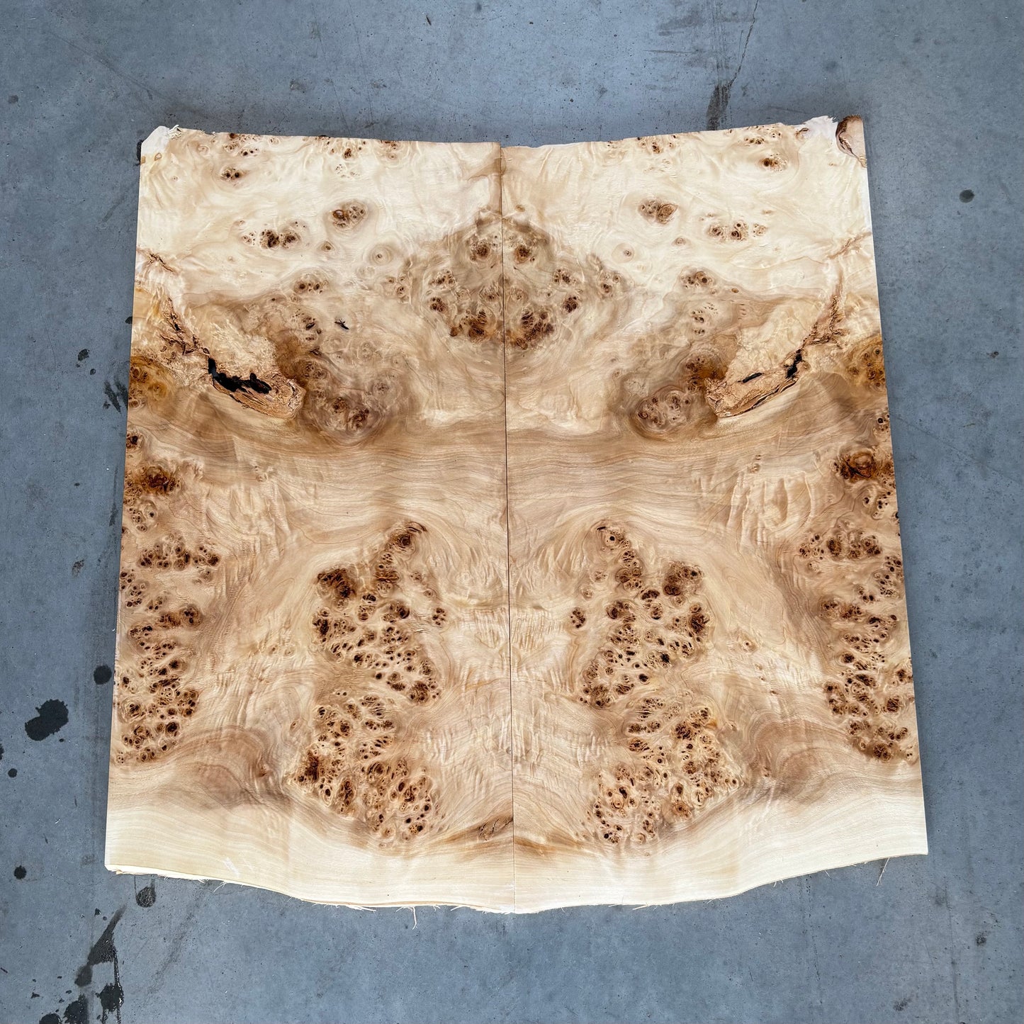 BM#25 Mappa Burl Bookmatch - 61 x 62 x 1cm