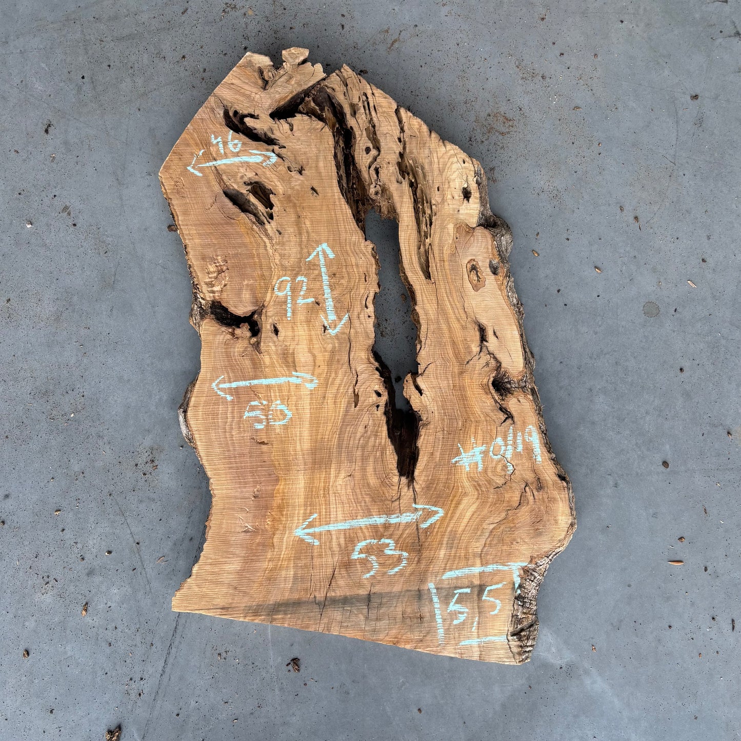 Olijf Slab #O/19