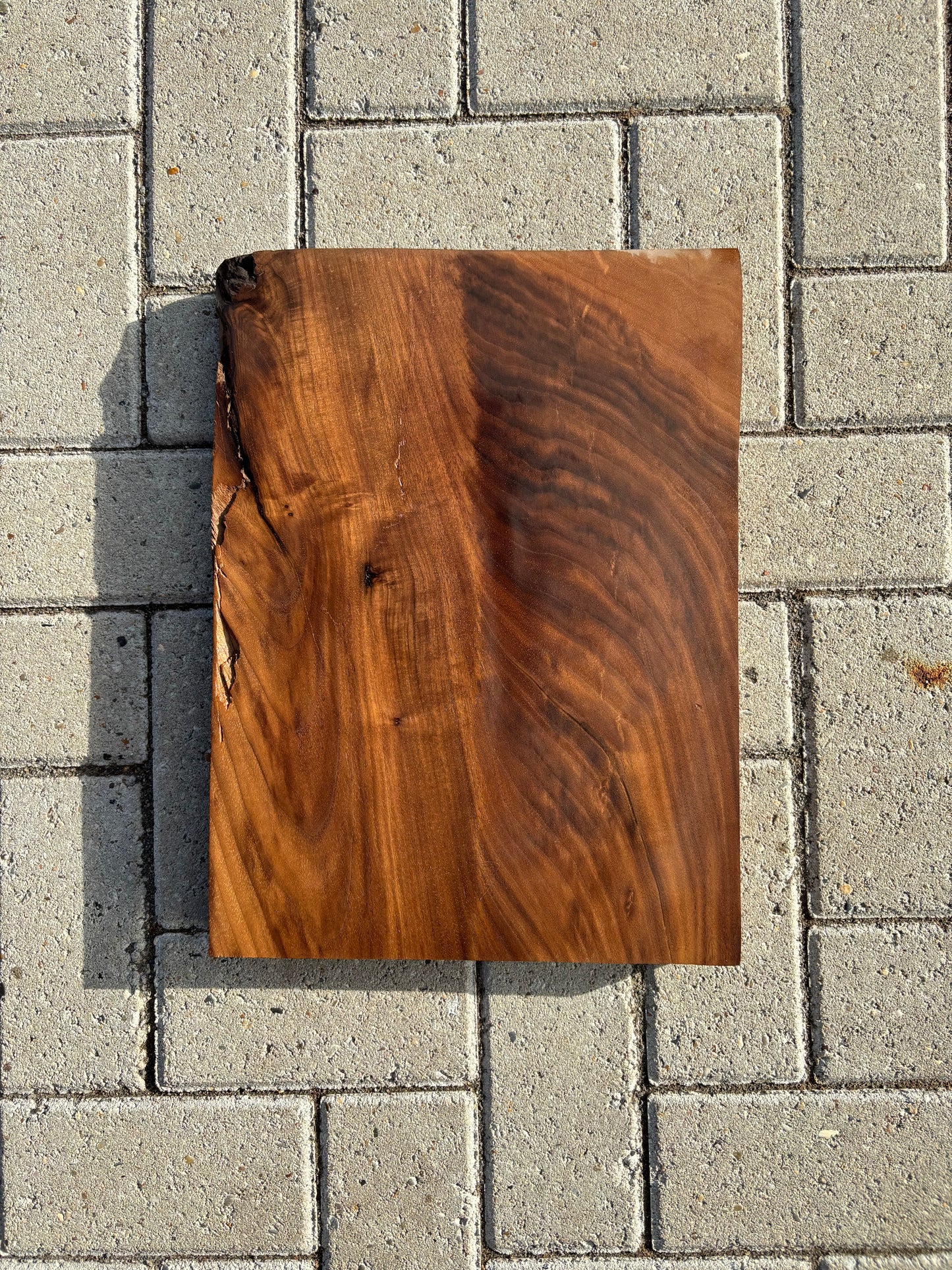 42x31.5x4.5cm - #FS090