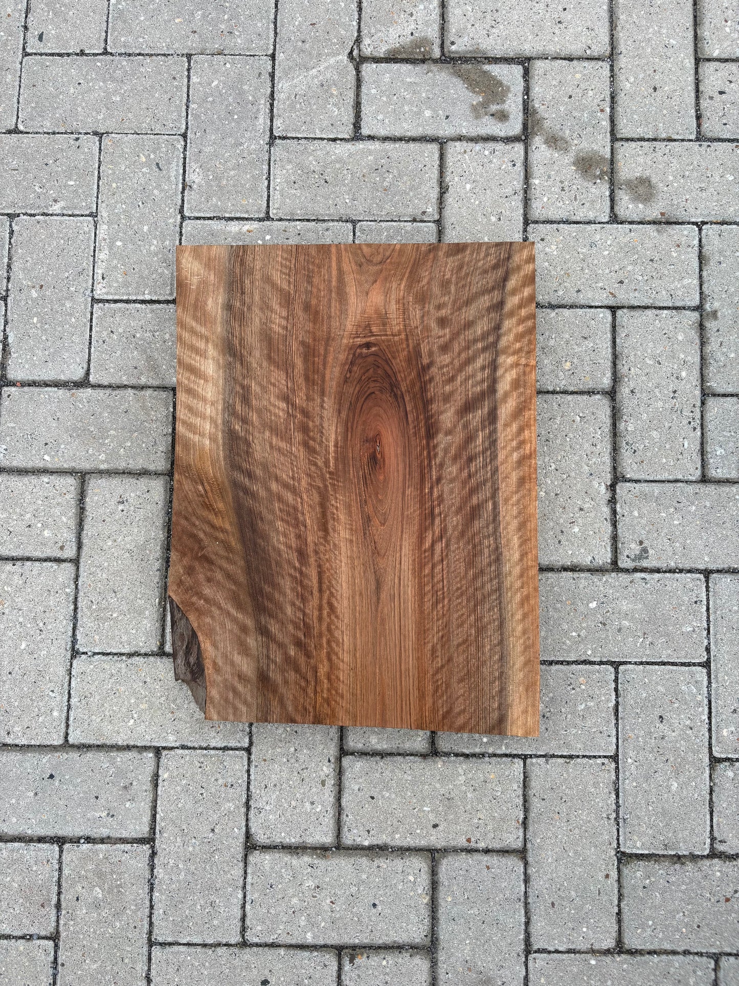 52x39.5x7cm - #FS071