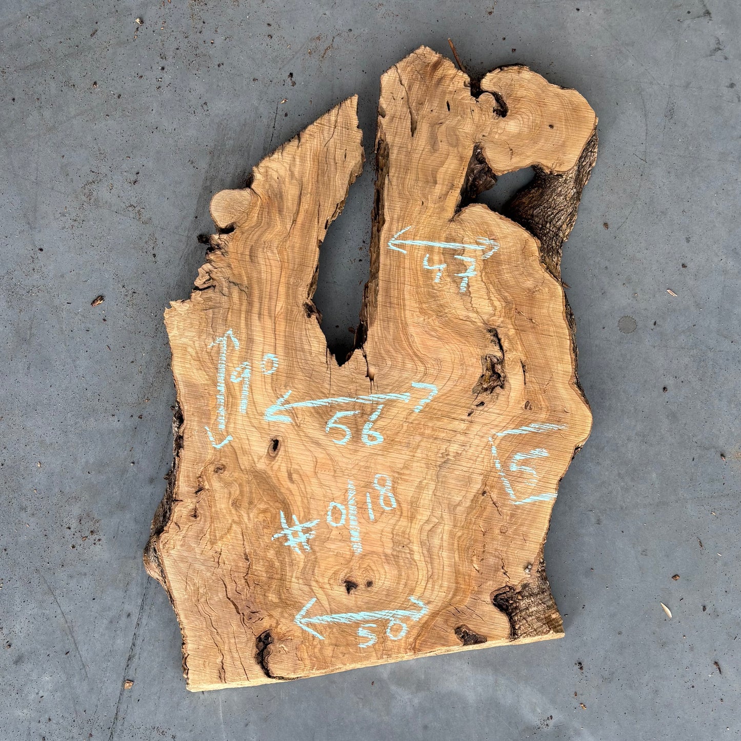 Olijf Slab #O/18