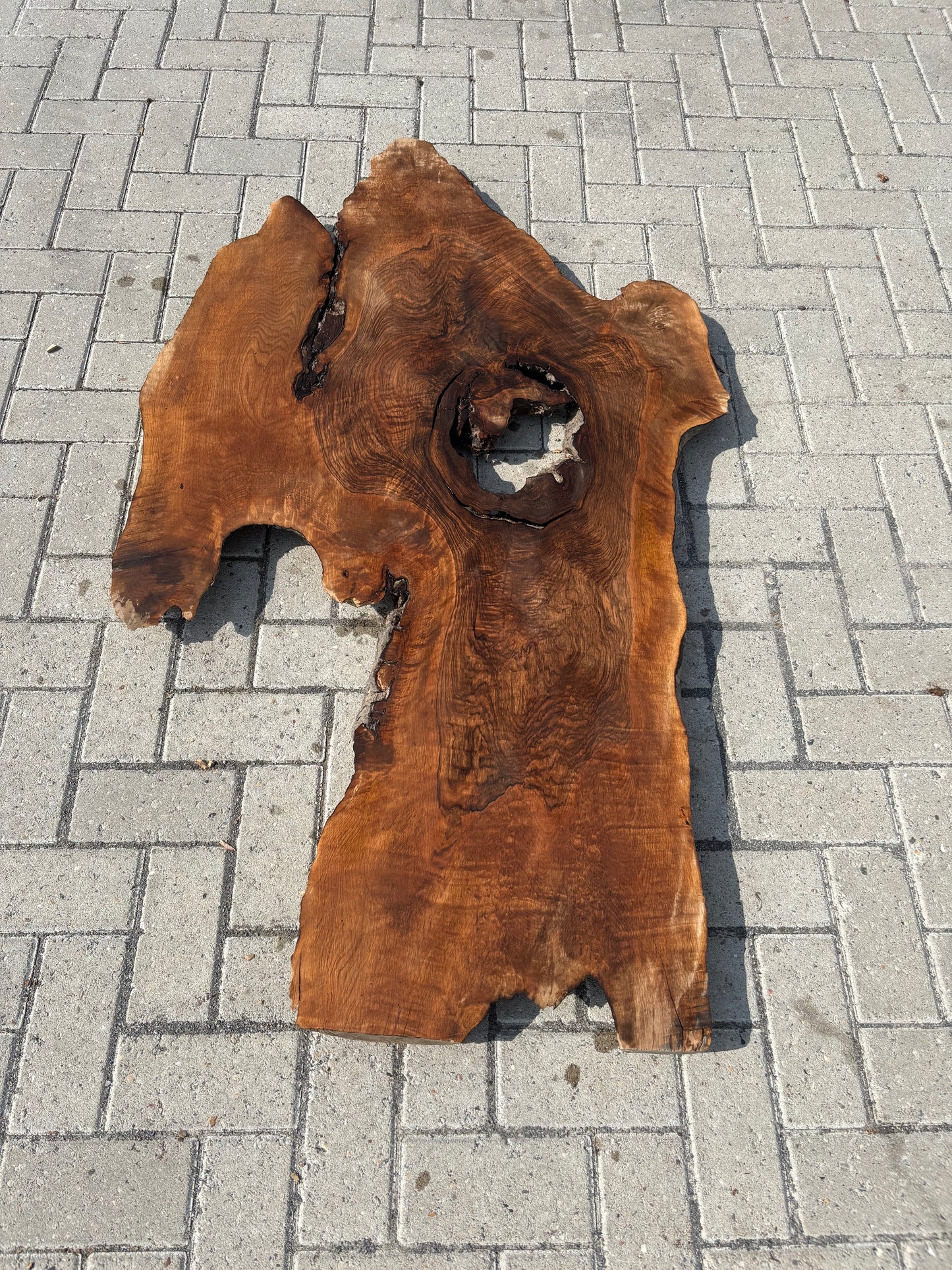 Notenhouten Slab 150x89/46/50x6cm #CS/021