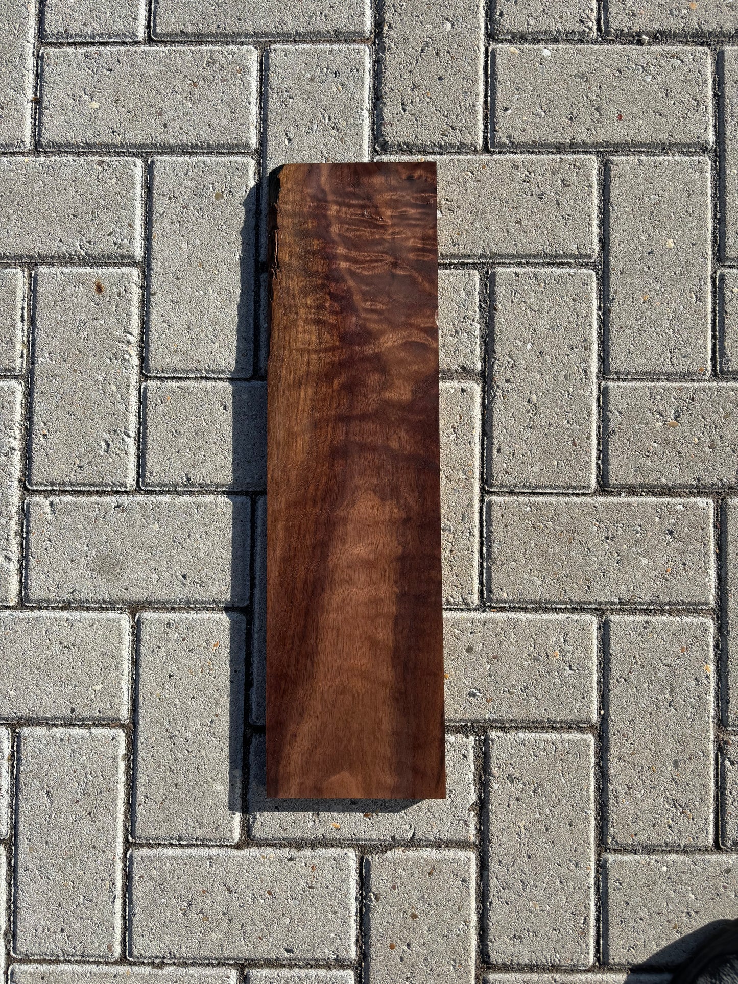 55x15.5x1.8cm - #FS088