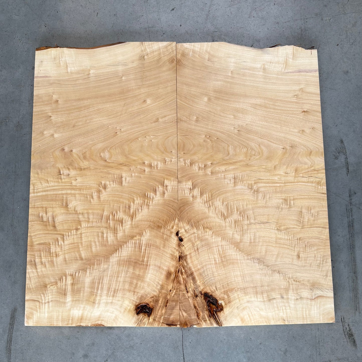 BM#19 Mappa Burl Bookmatch - 62 x 64 x 1.9cm