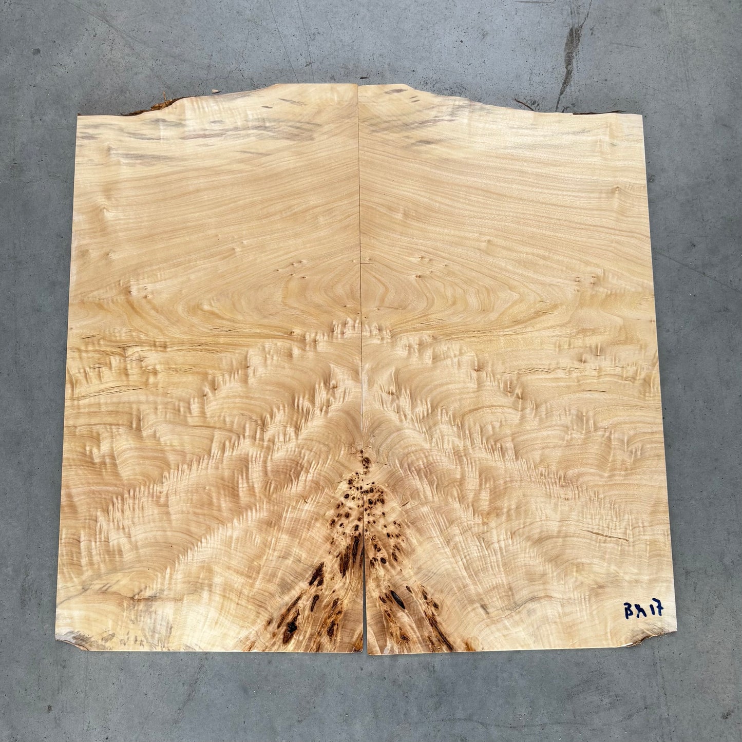 BM#17 Mappa Burl Bookmatch - 64 x 62 x 0.6cm