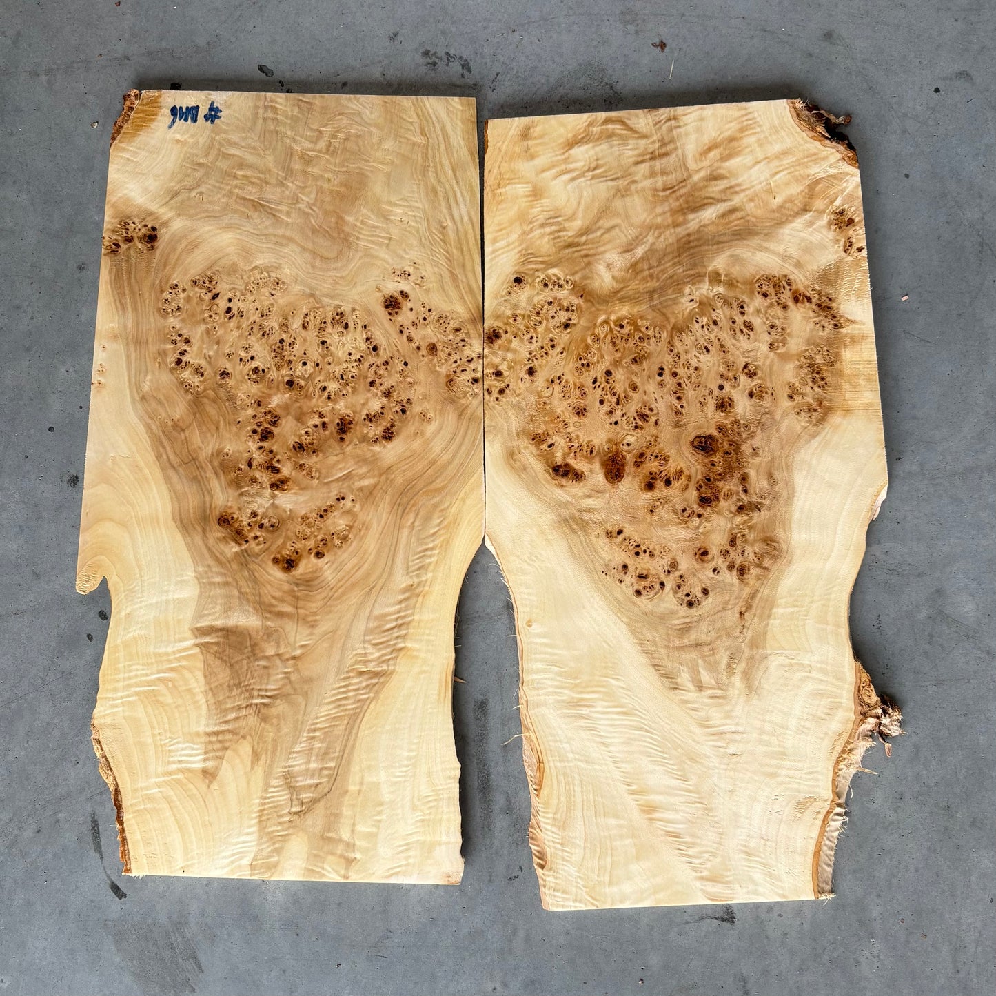 BM#6 Mappa Burl Bookmatch - 61 x 60 x 1.5cm