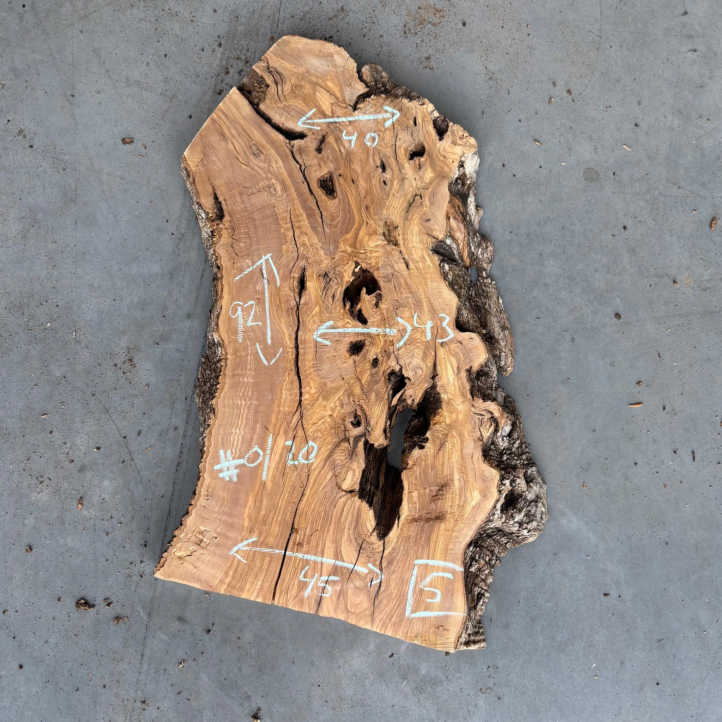 Olijf Slab #O/20