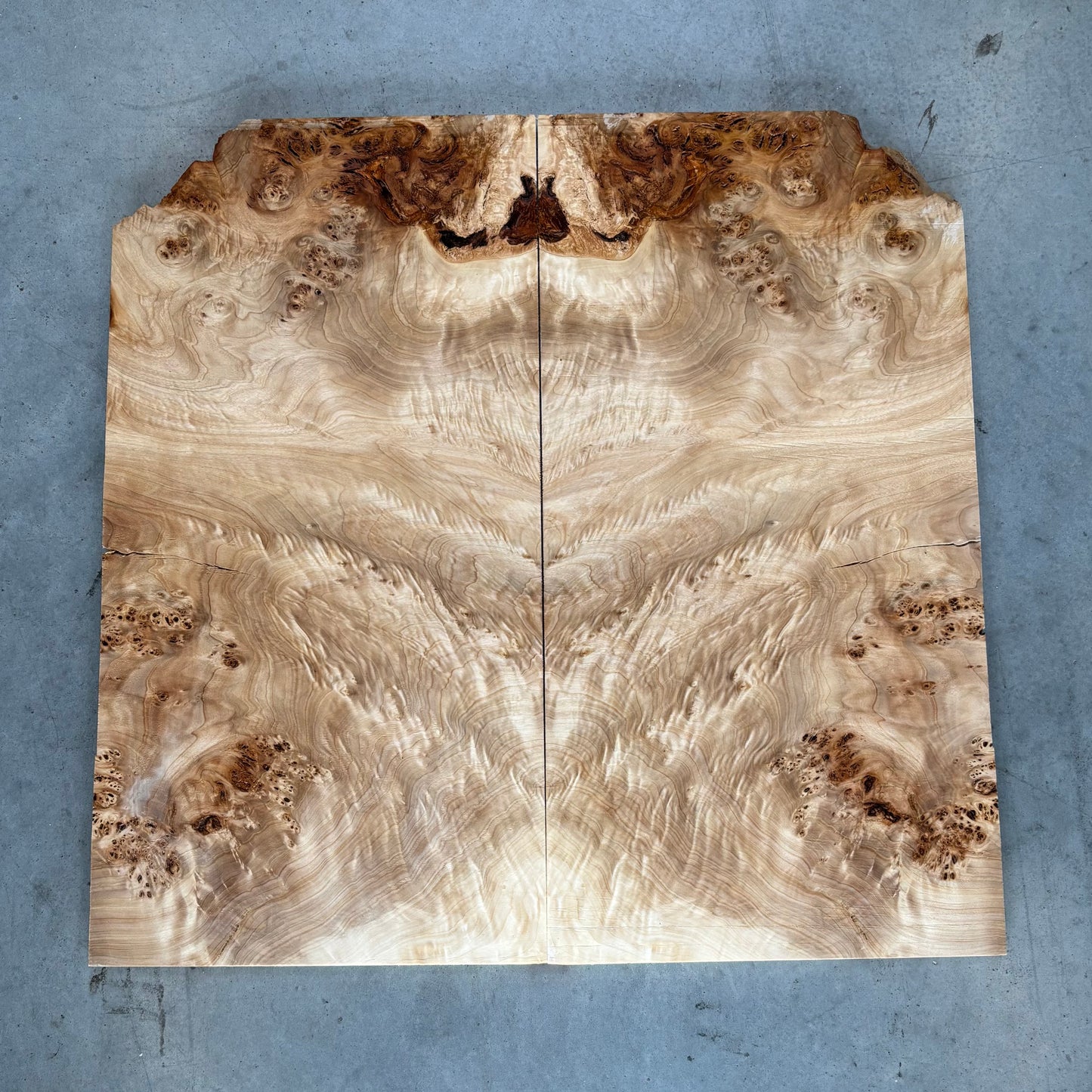 BM#24 Mappa Burl Bookmatch - 63 x 64 x 1cm