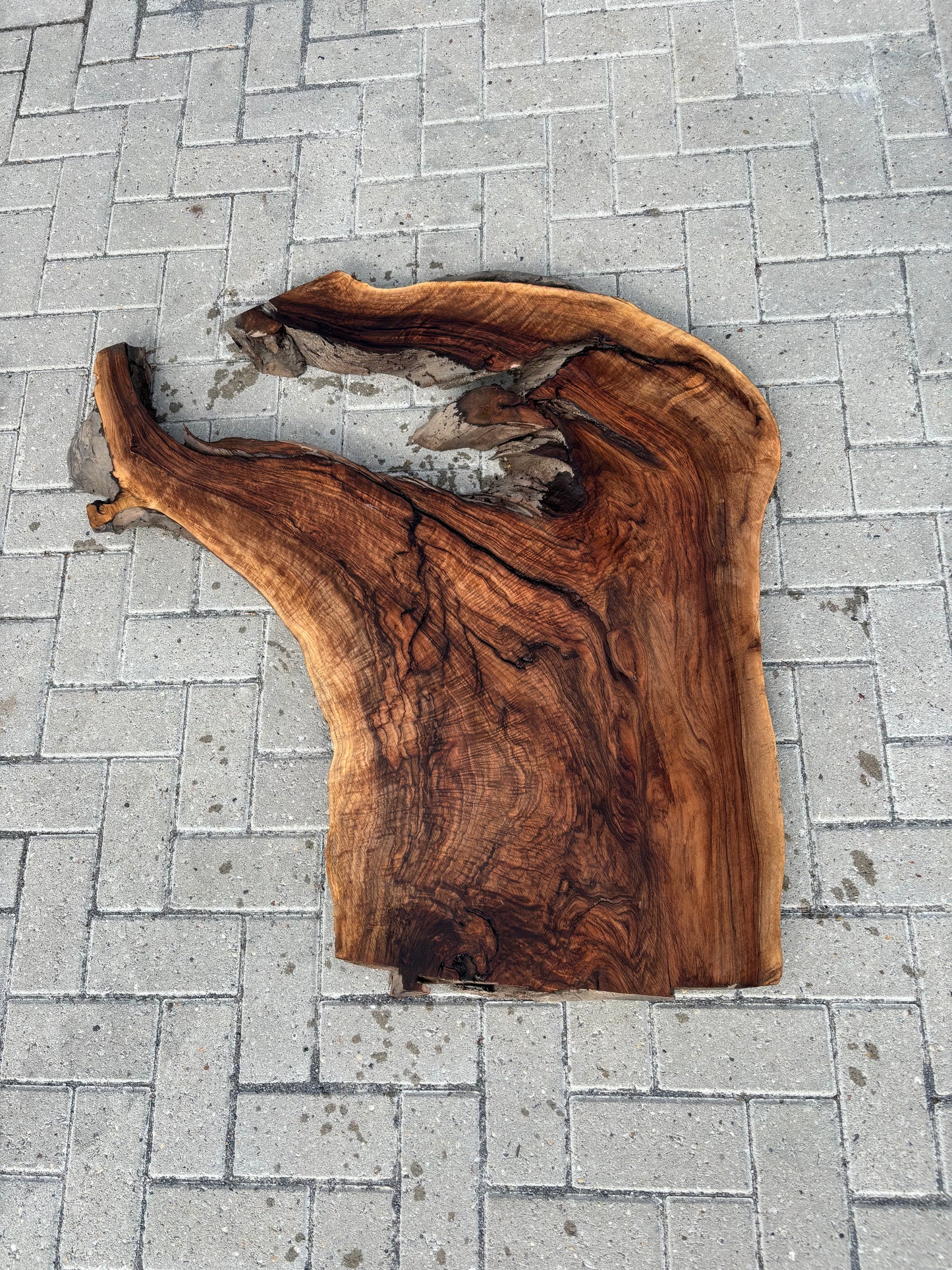 Notenhouten Slab 100x97/71/43x6cm #CS/027