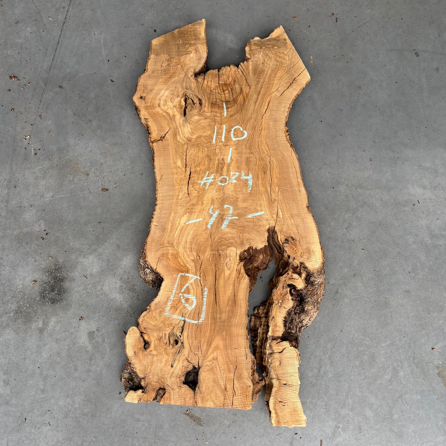 Olijf Slab #O/24