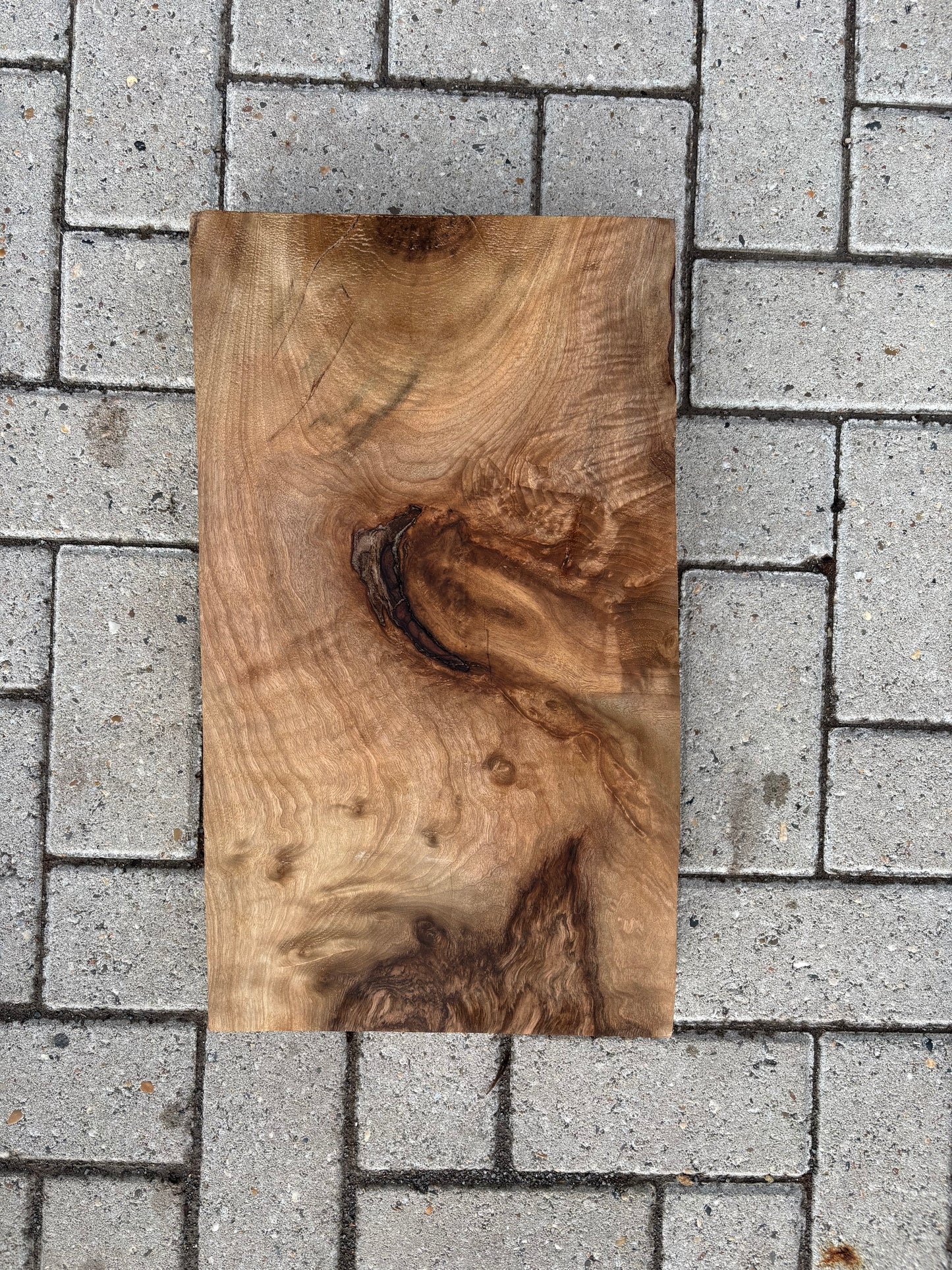 50x28.5x6.5cm - #FS078