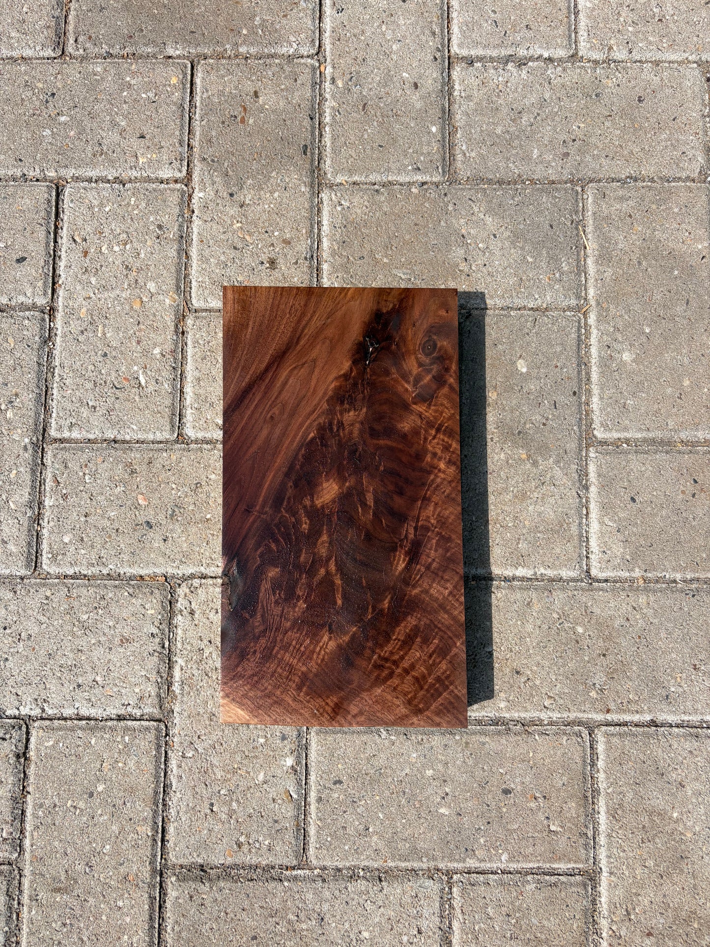 31x17x4.1cm - #FS107