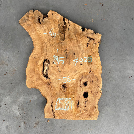 Olijf Slab #O/25