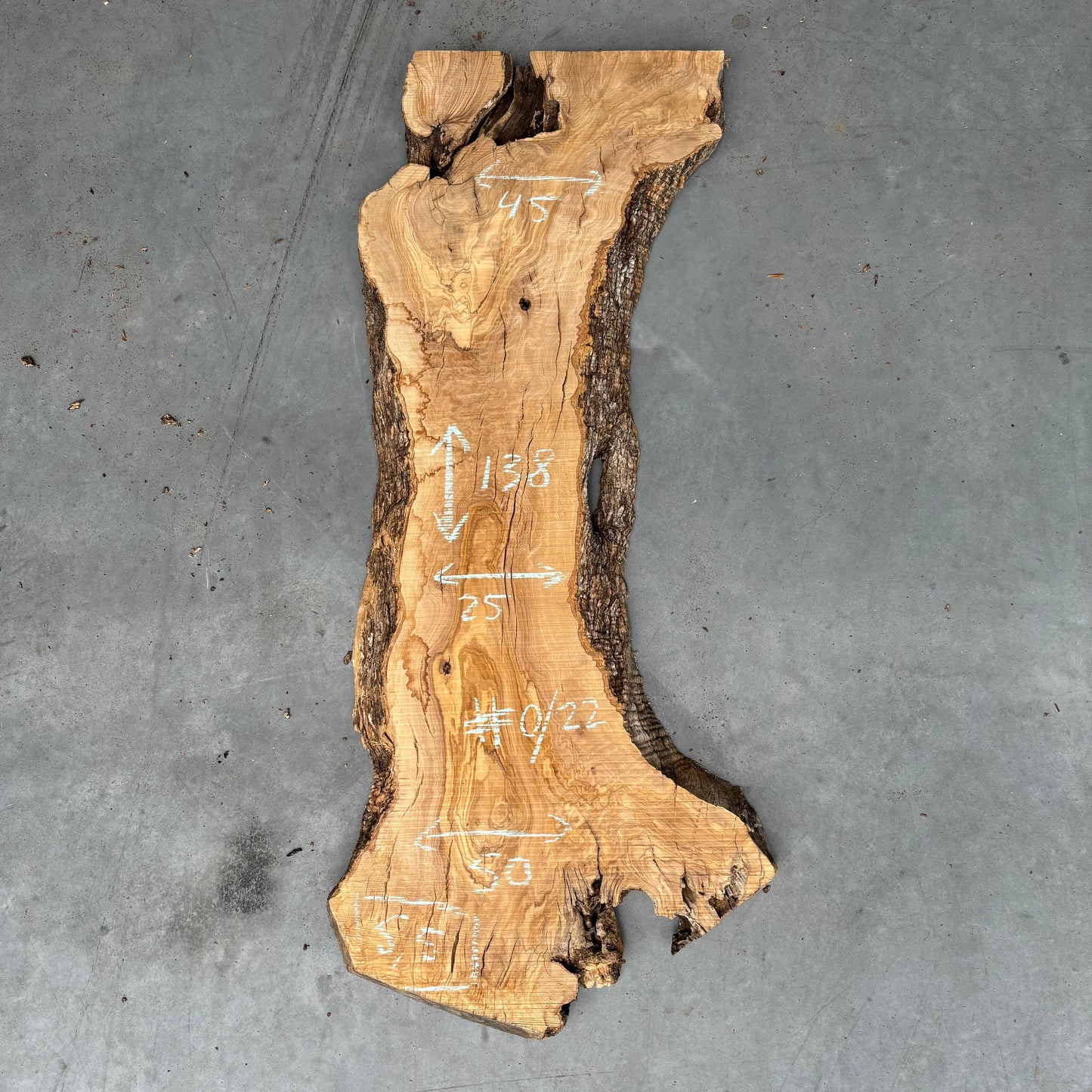 Olijf Slab #O/22