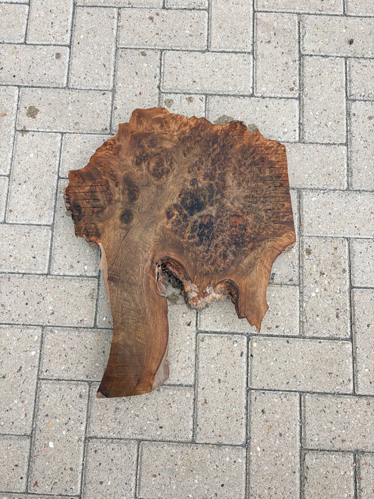Notenhouten Slab 57x46x6cm #CS/033