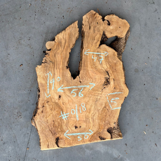Olijf Slab #O/18
