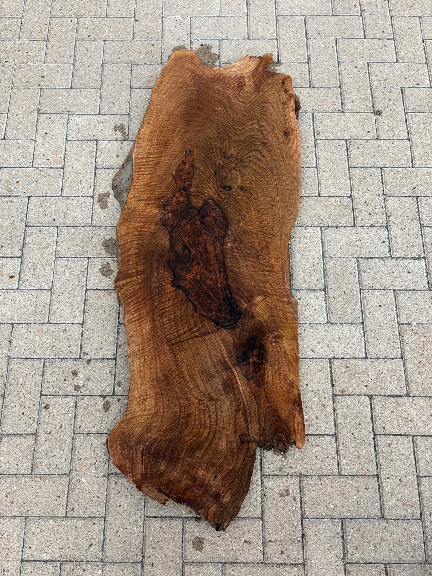 Notenhouten Slab 145x50/51/43x5cm #CS/035