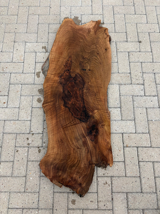 Notenhouten Slab 145x50/51/43x5cm #CS/035