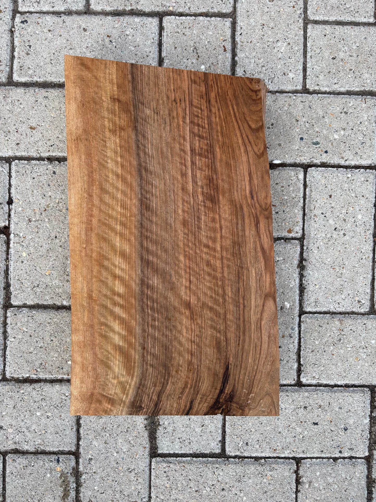 43x26x6.5cm - #FS081