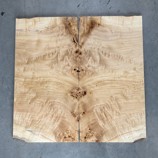 BM#30 Mappa Burl Bookmatch - 62 x 63 x 0.8cm