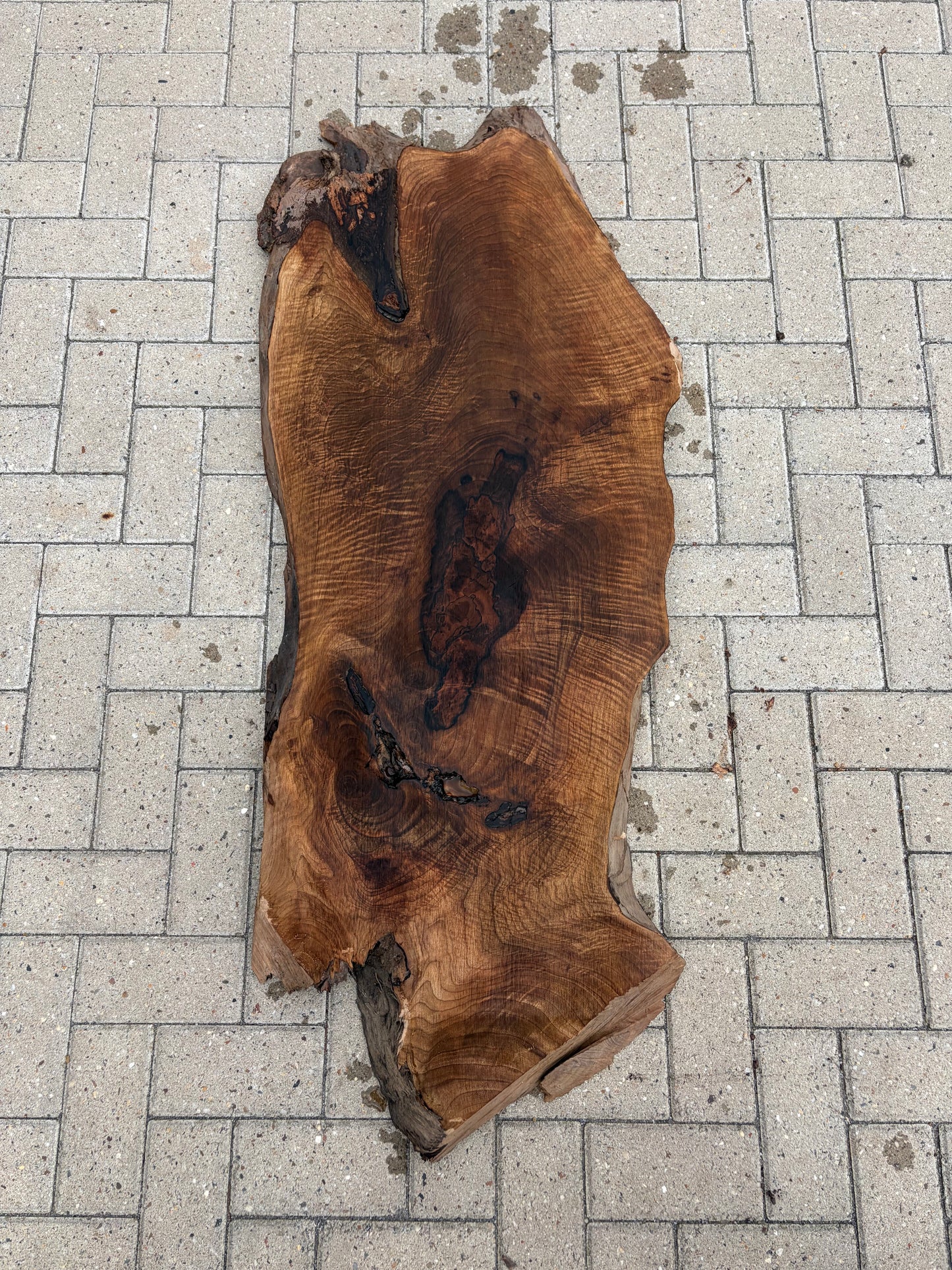 Notenhouten Slab 145x50/51/43x5cm #CS/035