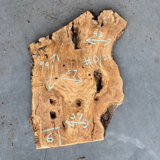 Olijf Slab #O/21