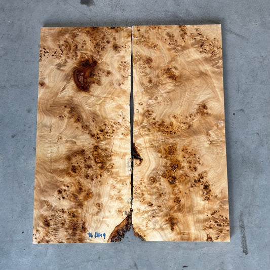 BM#9 Mappa Burl Bookmatch - 60 x 52 x 1.5cm