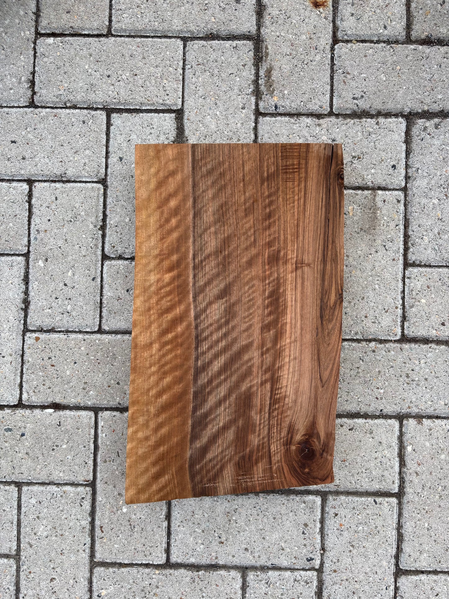 43x26x6.5cm - #FS081