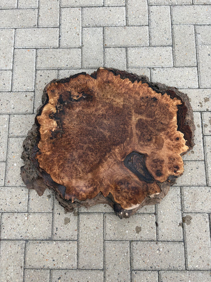 Notenhouten Slab 62x72x6cm #CS/032