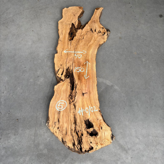 Olijf Slab #O/02