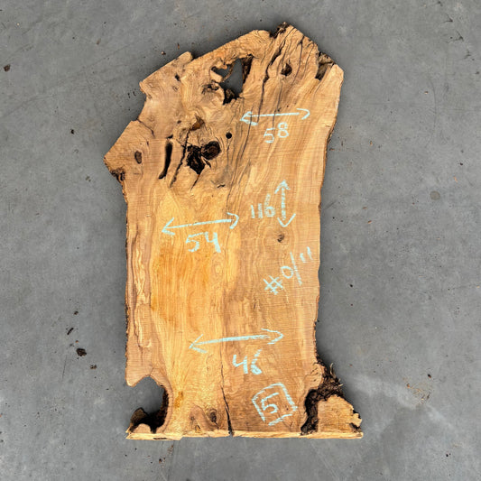 Olijf Slab #O/11