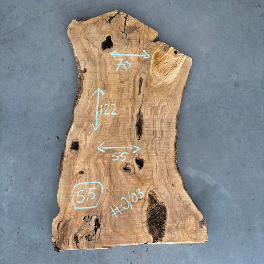Olijf Slab #O/03