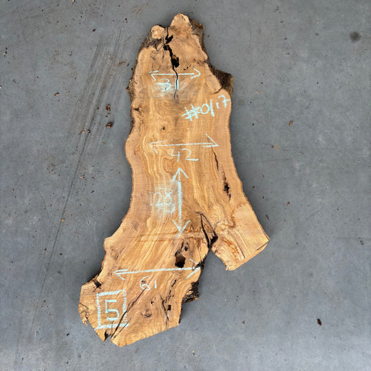 Olijf Slab #O/17