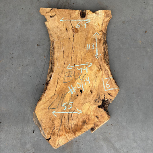 Olijf Slab #O/14