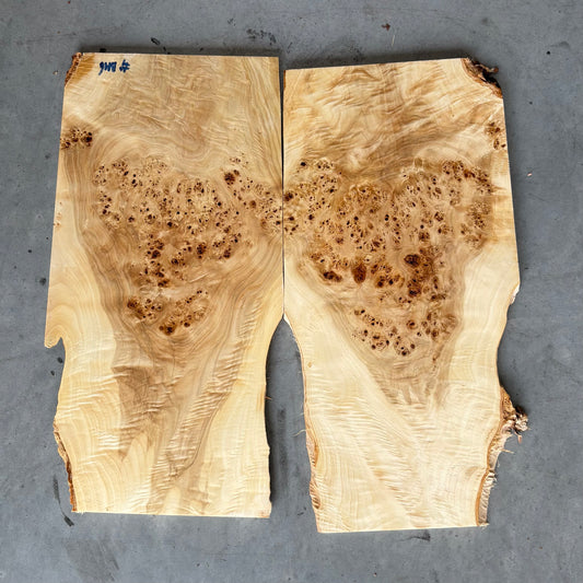 BM#6 Mappa Burl Bookmatch - 61 x 60 x 1.5cm