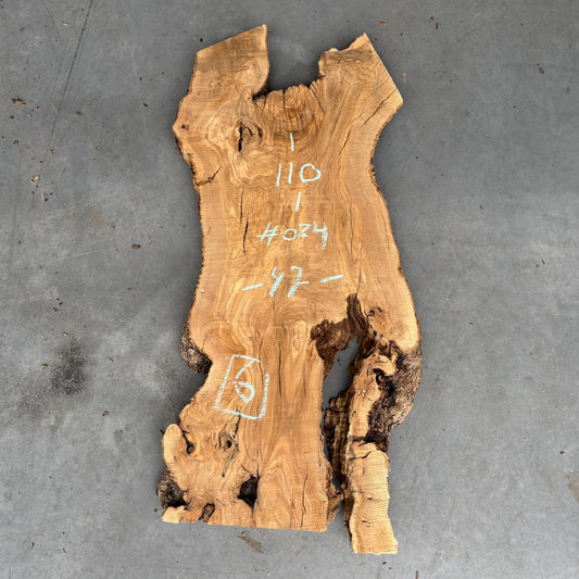Olijf Slab #O/24