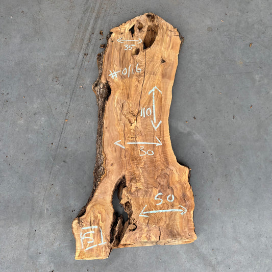 Olijf Slab #O/16