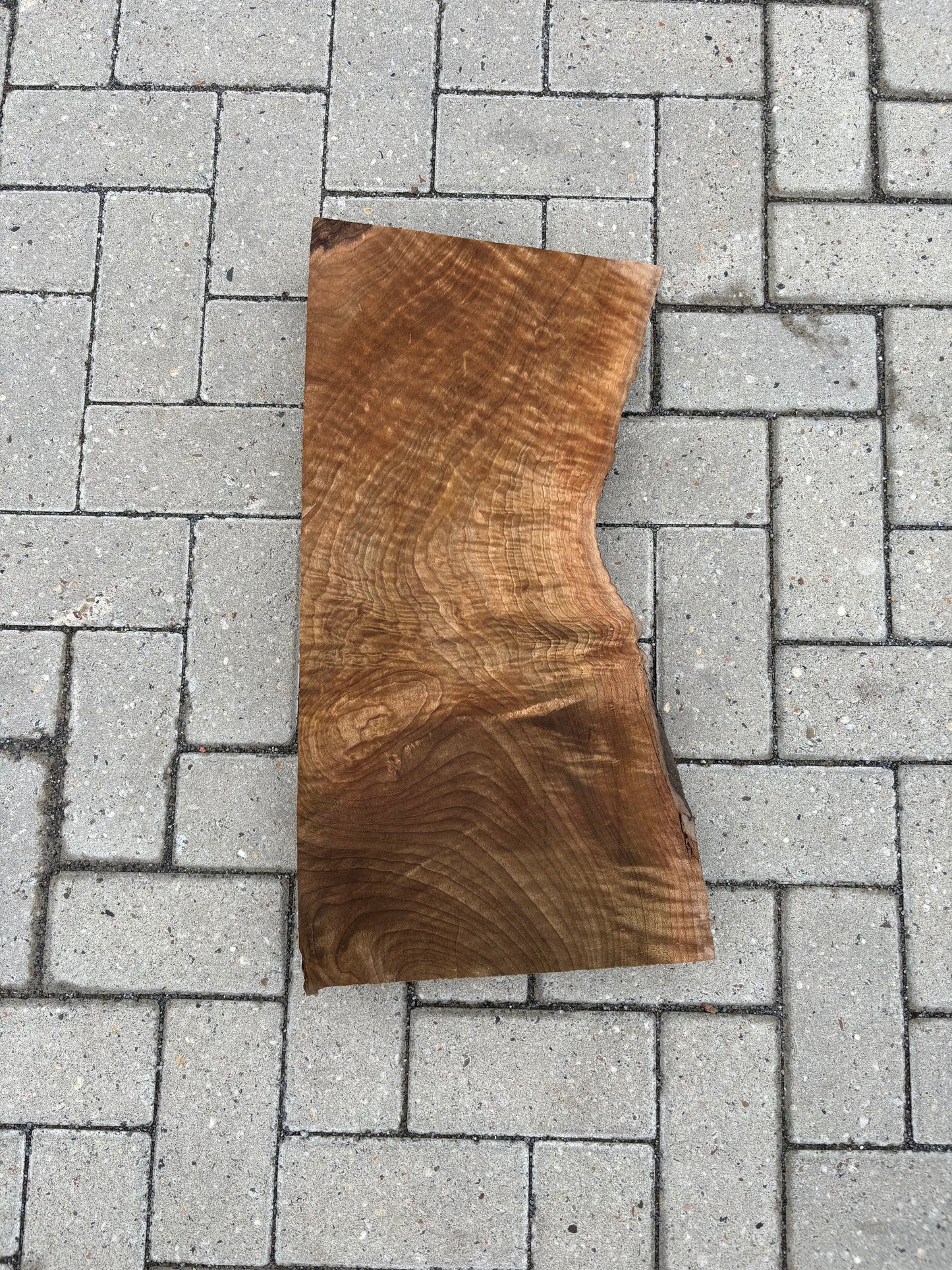 60x25-32x6.8cm - #FS072