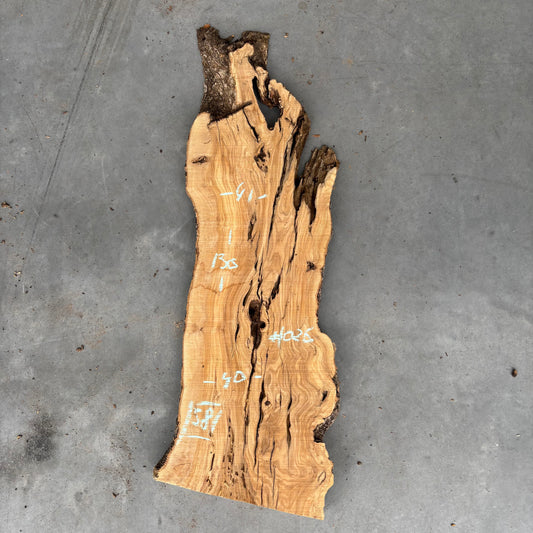 Olijf Slab #O/26