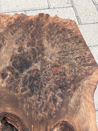 Notenhouten Slab 57x46x6cm #CS/033