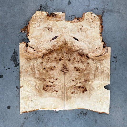 BM#21 Mappa Burl Bookmatch - 62 x 55 x 1.1cm