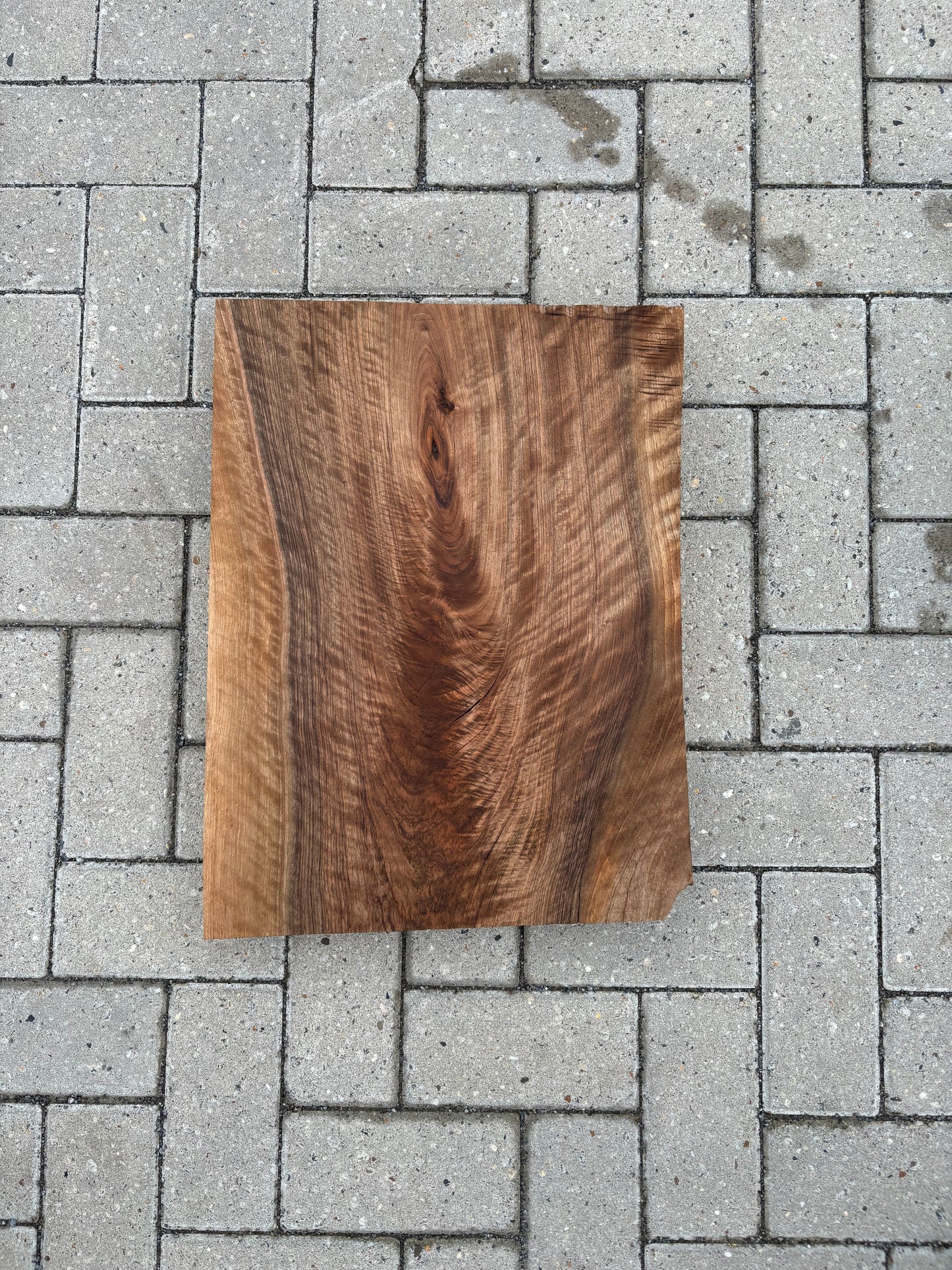 52x39.5x7cm - #FS071